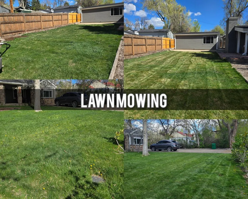 Trusted yard maintenance in Denver, CO - R & R Outdoor Services