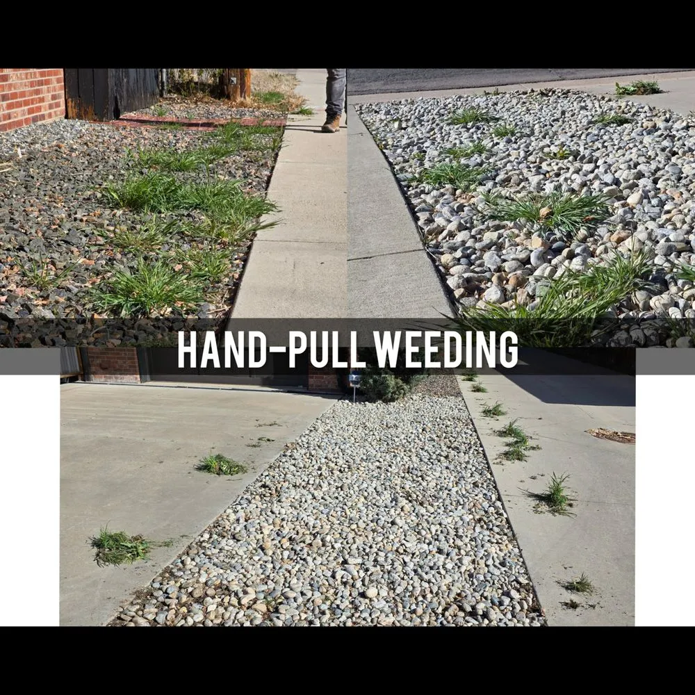 Professional lawn mowing service in Denver, CO by R & R Outdoor Services