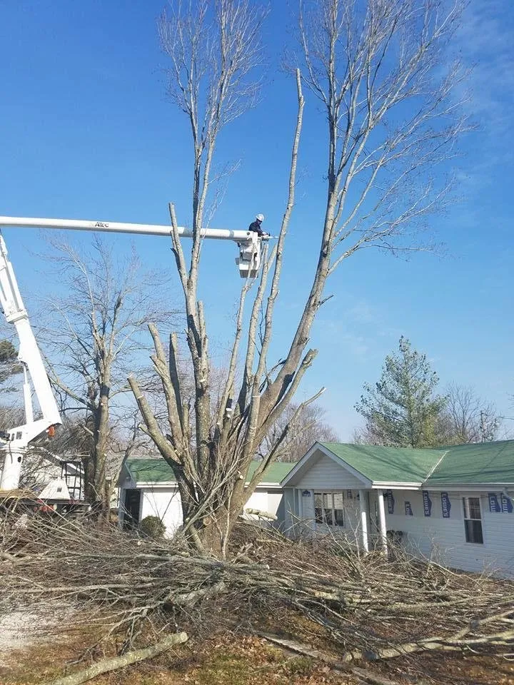 Expert outdoor landscaping in Houston, MO - R & R Outdoor Services