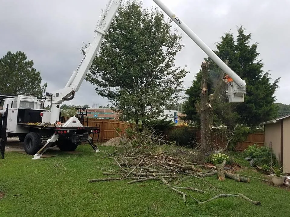 Custom yard maintenance for year-round maintenance across Houston, MO - R & R Outdoor Services