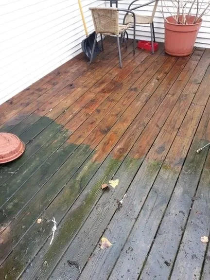 Trusted yard cleanup service experts serving Michigan City, IN - R & R Services