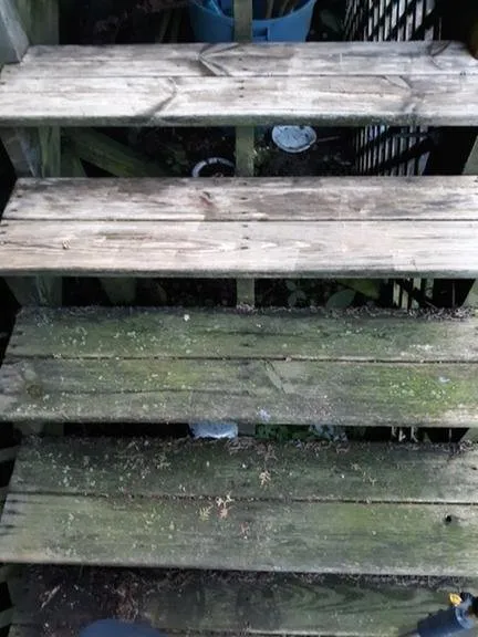 Professional yard maintenance experts serving Michigan City, IN - R & R Services