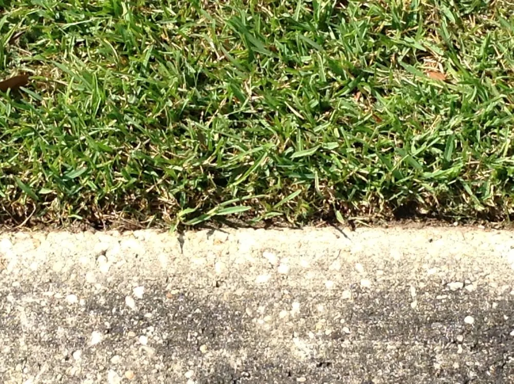 Custom lawn mowing service near you in Pensacola, FL by R & R Services of the Gulf Coast LLC