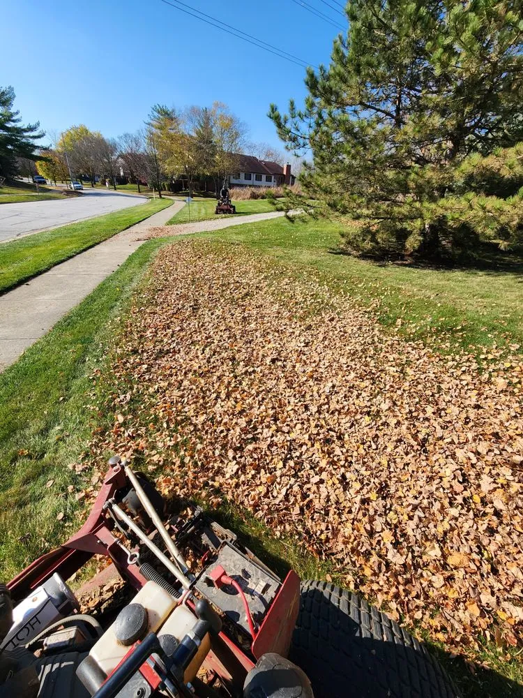 Top-rated garden landscaping in Lansing, IL by R & R Yard Design