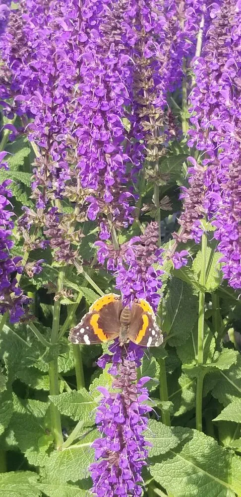 Reliable landscaping services in Lansing, IL - R & R Yard Design