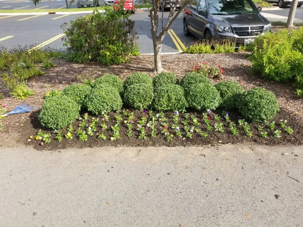 Reliable outdoor landscaping in Lansing, IL by R & R Yard Design