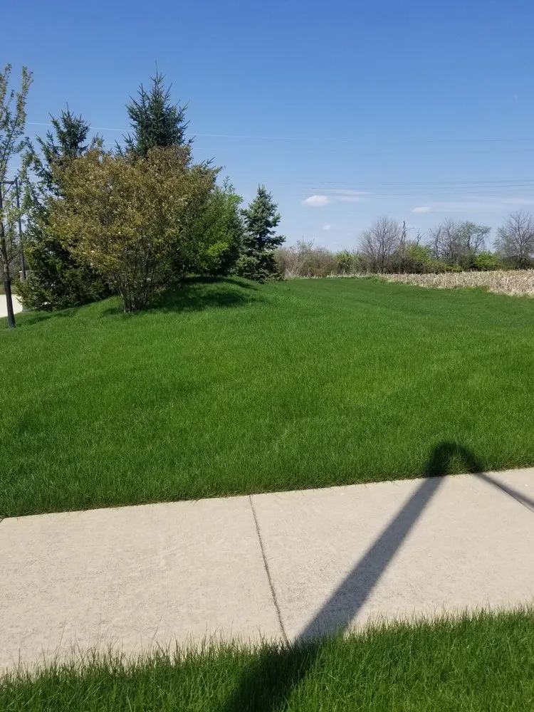 Local lawn mowing service in Lansing, IL by R & R Yard Design