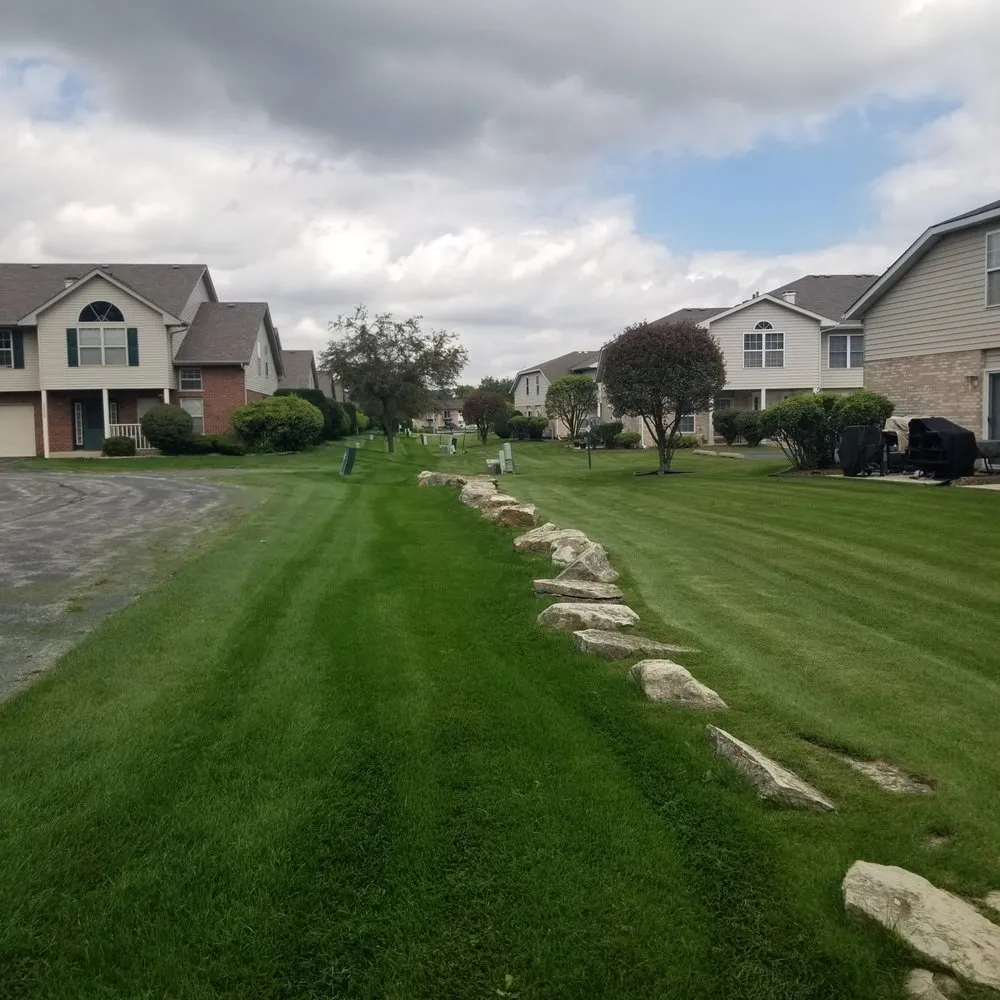 Custom yard cleanup service in Lansing, IL - R & R Yard Design