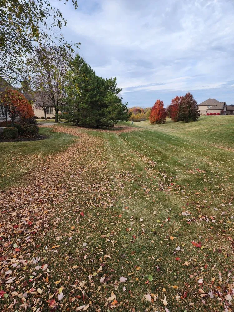 Custom lawn mowing service experts serving Lansing, IL - R & R Yard Design