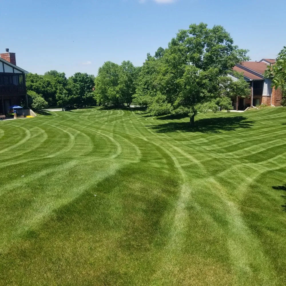 Professional landscape design for year-round maintenance in Lansing, IL by R & R Yard Design