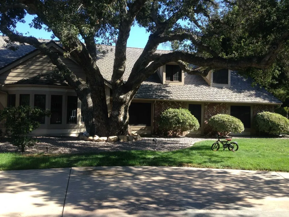 Reliable yard cleanup service in Val Verde, CA - R & S Construction