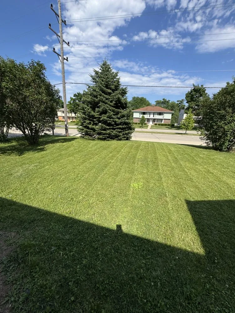 Expert yard cleanup service for homes in Racine, WI by R & S General Services