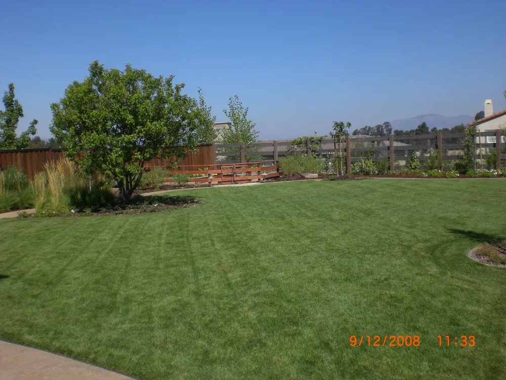 Top-rated yard cleanup service in Pleasanton, CA - R & S Landscaping & Maintenance