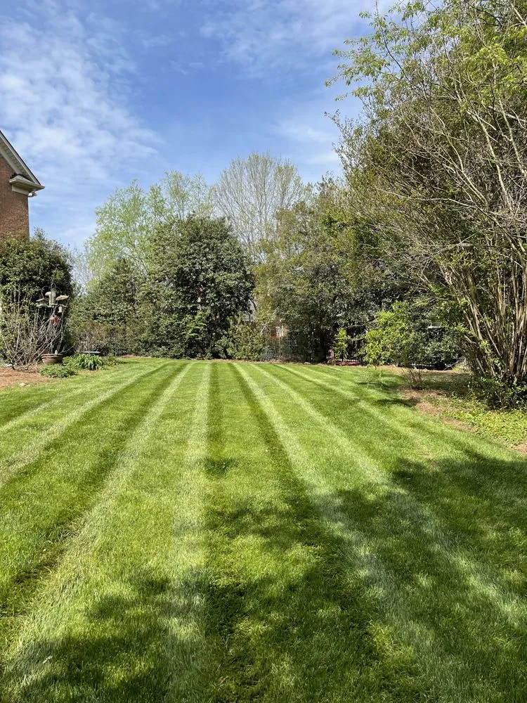 Professional outdoor landscaping for outdoor upgrades across Albemarle, NC - R & S Landscaping