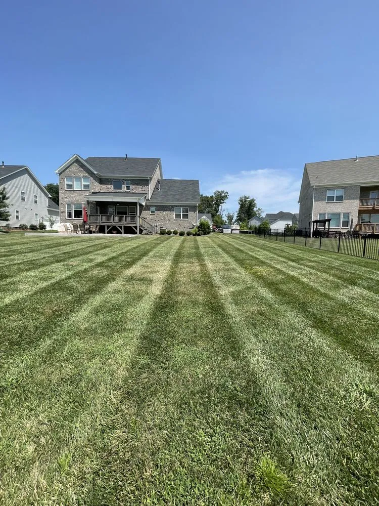 Professional landscape installation in Albemarle, NC - R & S Landscaping