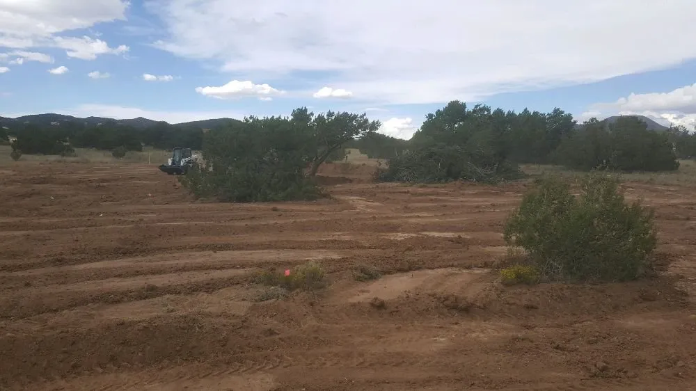 Trusted yard cleanup service in Albuquerque, NM by R & S Landscaping