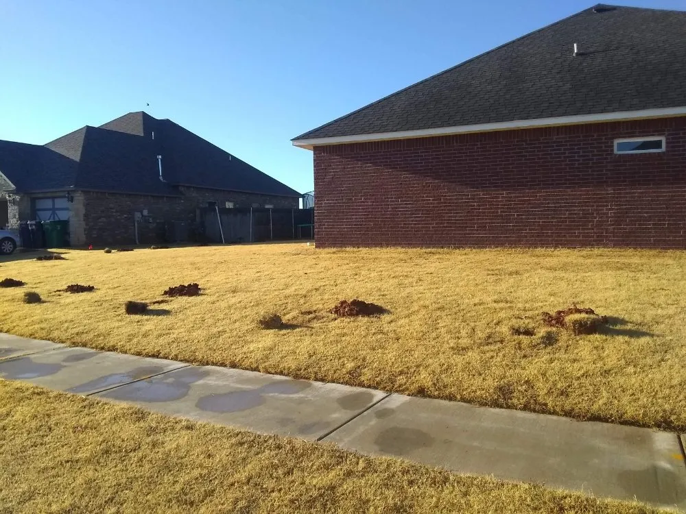 Affordable lawn mowing service for year-round maintenance in Shawnee, OK by R & S Landscaping and Construction