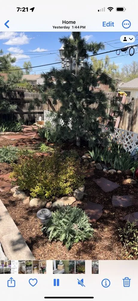 Local lawn care service in Colorado Springs, CO - R & S Landscaping LLC