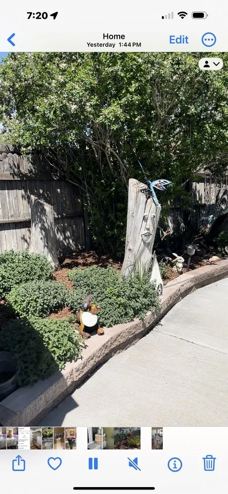 Top-rated yard cleanup service in Colorado Springs, CO - R & S Landscaping LLC