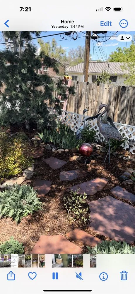 Reliable yard cleanup service experts serving Colorado Springs, CO - R & S Landscaping LLC