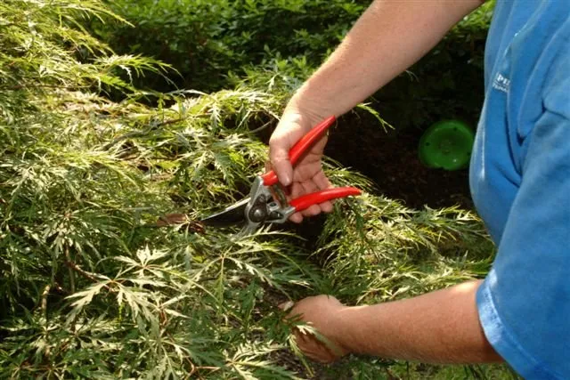 Local garden landscaping in Midland Park, NJ by R & S Landscaping