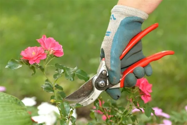 Top-rated landscape design experts serving Midland Park, NJ - R & S Landscaping