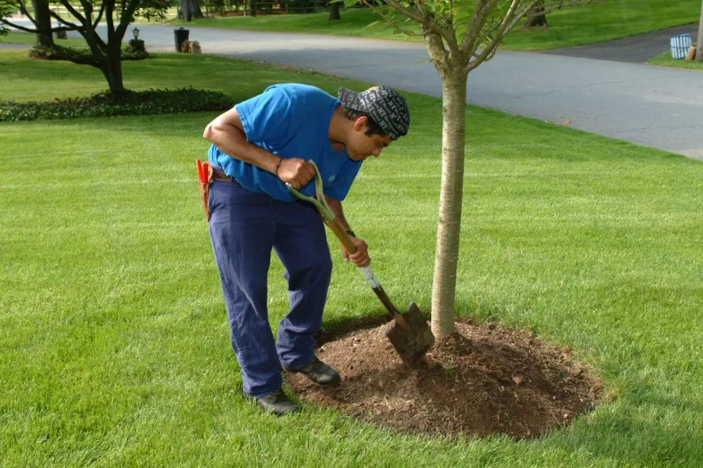 Custom landscaping services for outdoor upgrades in Midland Park, NJ by R & S Landscaping