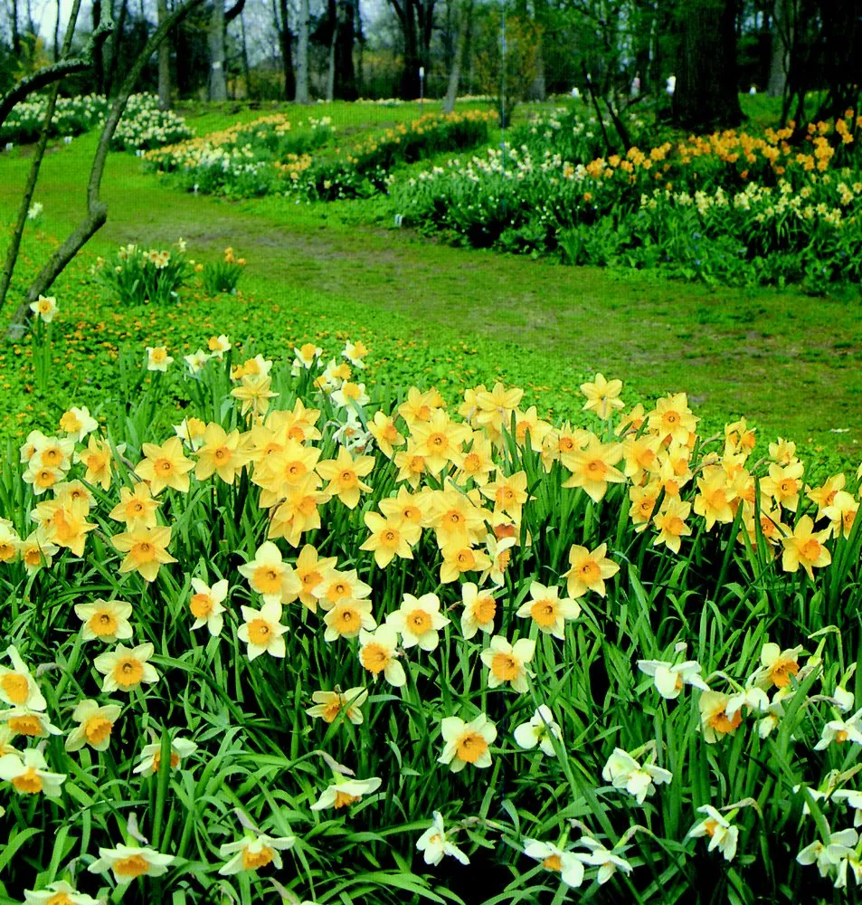 Top-rated landscape design for year-round maintenance across Midland Park, NJ - R & S Landscaping