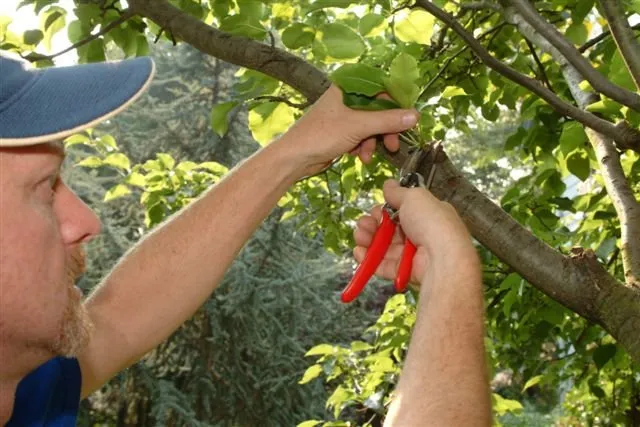 Trusted yard maintenance in Midland Park, NJ - R & S Landscaping