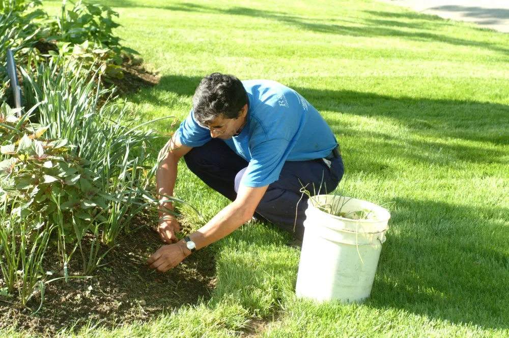 Expert lawn care service for outdoor upgrades across Midland Park, NJ - R & S Landscaping
