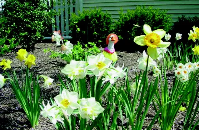 Top-rated landscape design in Midland Park, NJ - R & S Landscaping