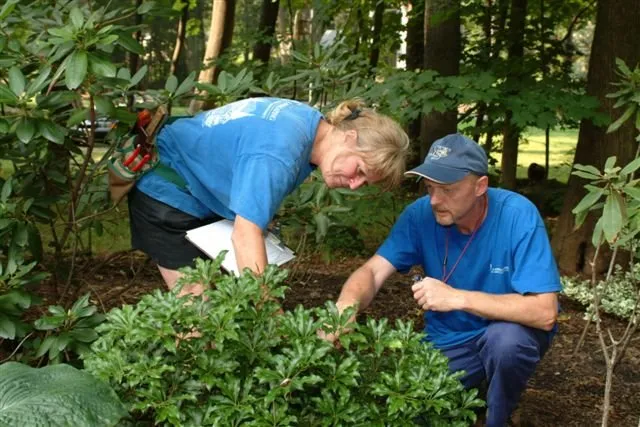 Affordable yard maintenance in Midland Park, NJ by R & S Landscaping