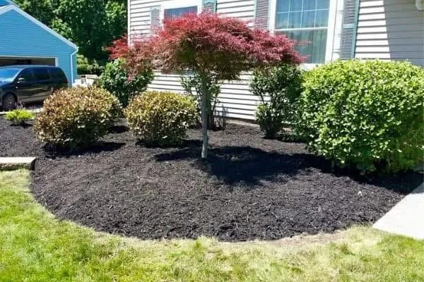 Local lawn mowing service in Mountain Top, PA by R & S Landscaping