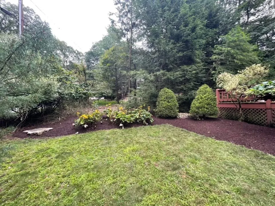 Expert yard cleanup service for beautiful yards across Mountain Top, PA - R & S Landscaping