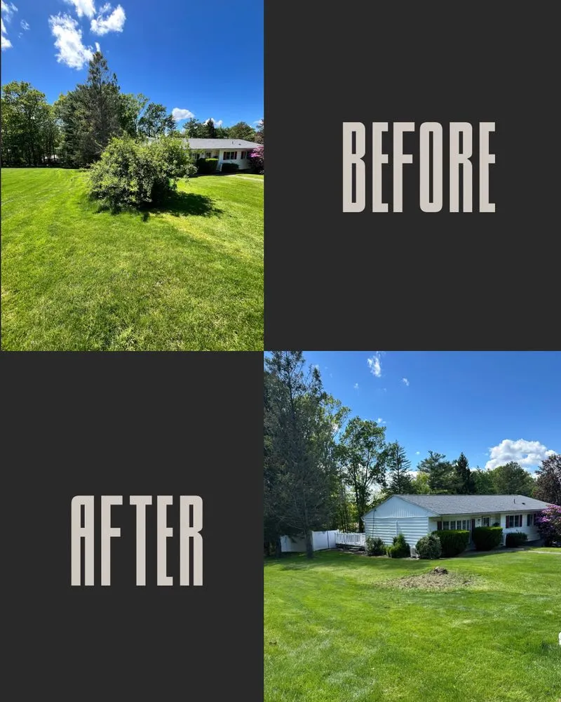Top-rated yard cleanup service in Mountain Top, PA - R & S Landscaping