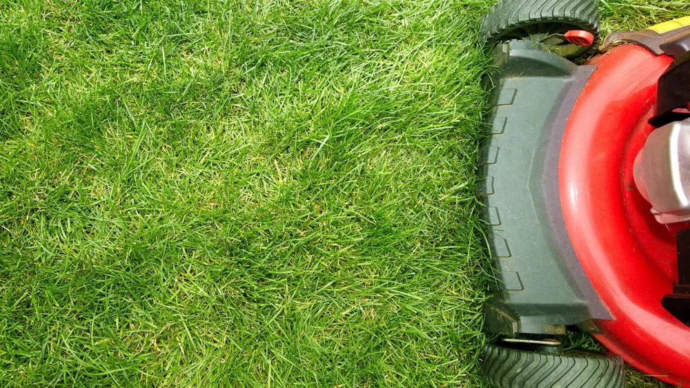 Top-rated lawn care service experts serving Punxsutawney, PA - R & S Lawn Service
