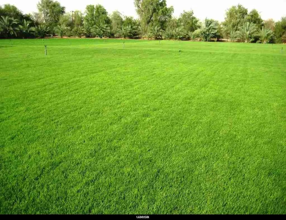 Local residential landscaping for residential properties in Punxsutawney, PA by R & S Lawn Service