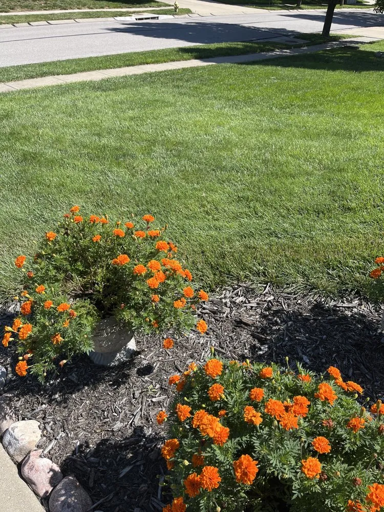 Affordable landscape installation in Smithville, MO - R & S Lawn Service