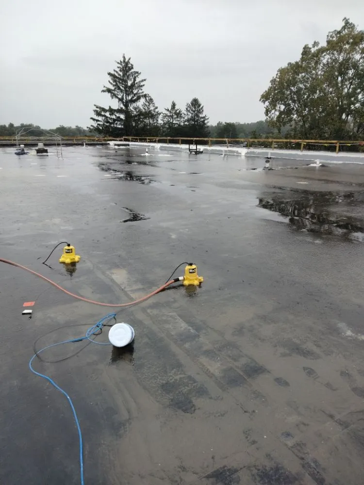 Trusted outdoor landscaping in Kingston, NY by R & S Property Management