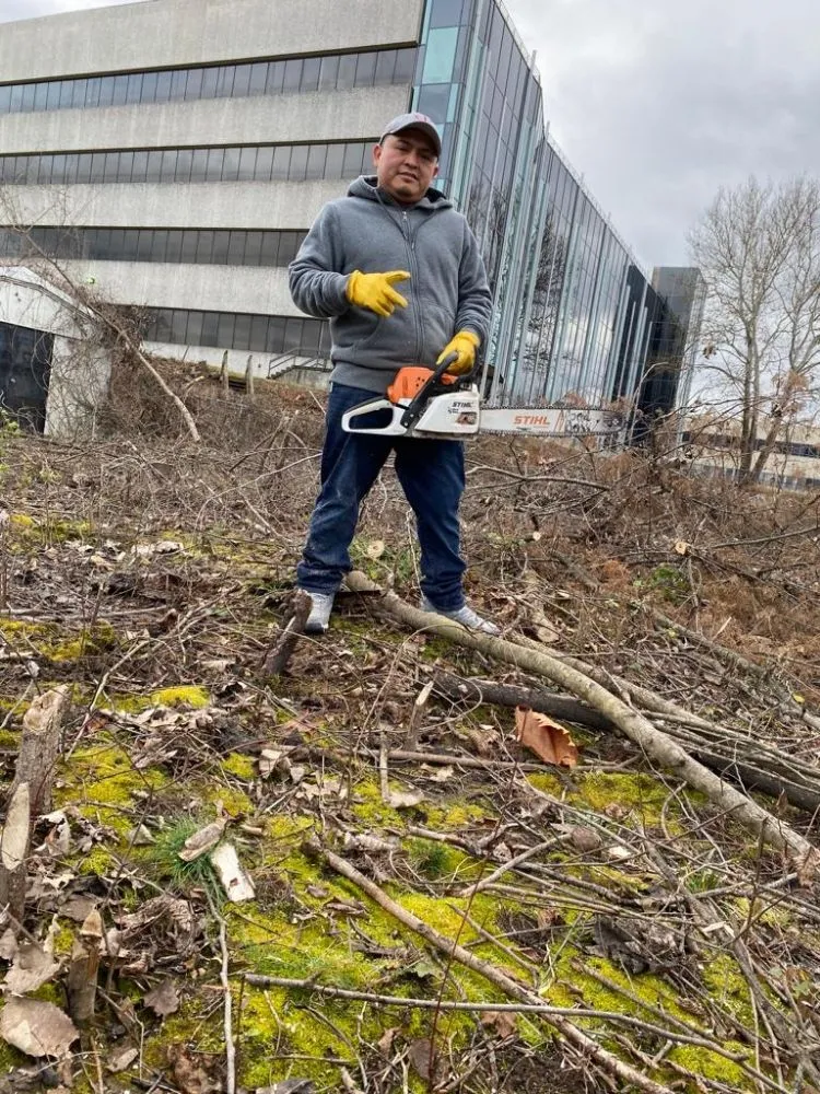 Affordable landscape design for beautiful yards in Kingston, NY by R & S Property Management