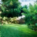Professional lawn care service in Oxnard, CA - R & S Tree Service