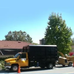 Reliable residential landscaping for beautiful yards in Oxnard, CA by R & S Tree Service