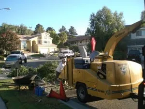 Expert yard cleanup service for homes across Oxnard, CA - R & S Tree Service