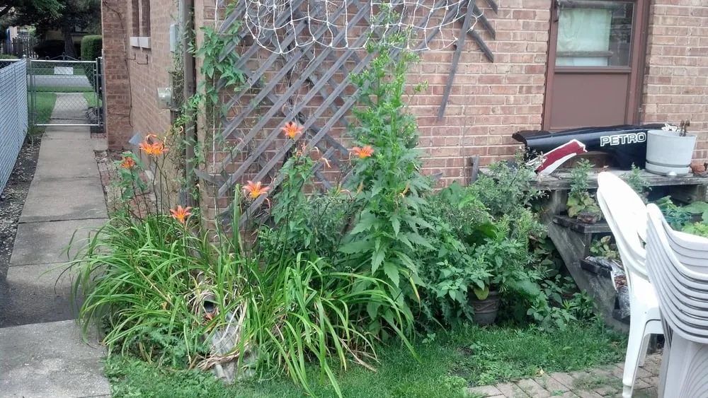 Local residential landscaping with custom design in Chicago, IL by R & V Management Landscaping & Construction