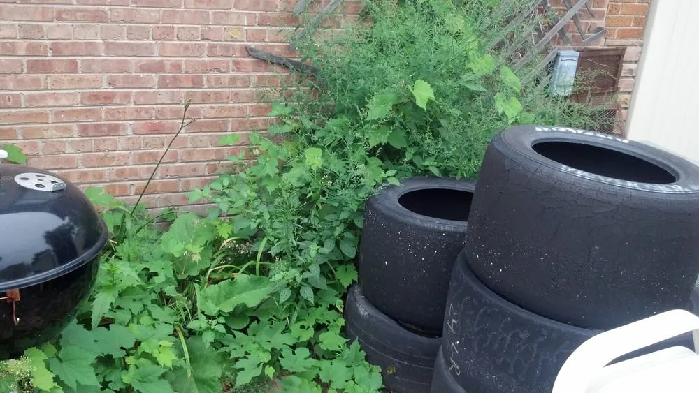 Professional outdoor landscaping in Chicago, IL by R & V Management Landscaping & Construction