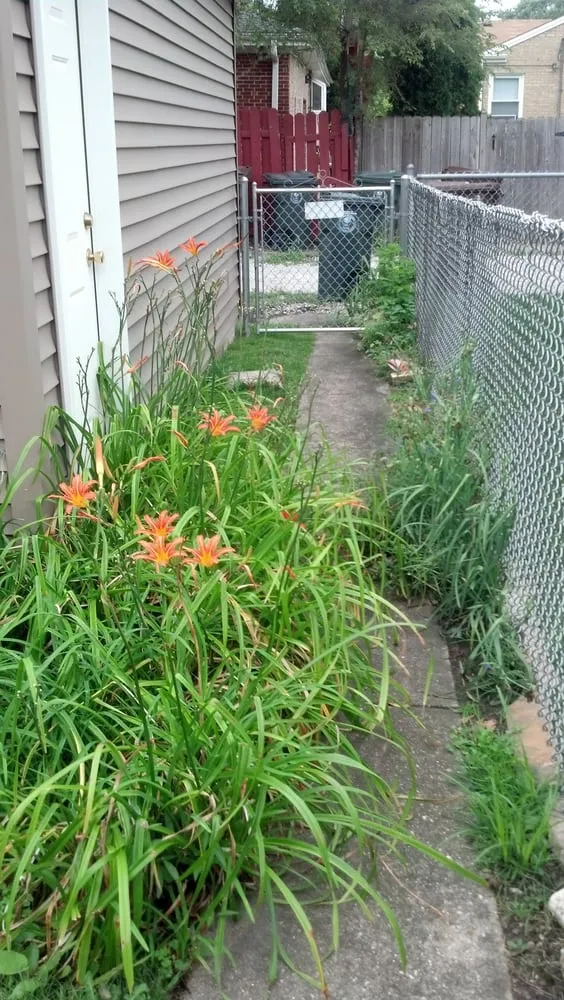 Reliable lawn care service with custom design in Chicago, IL by R & V Management Landscaping & Construction