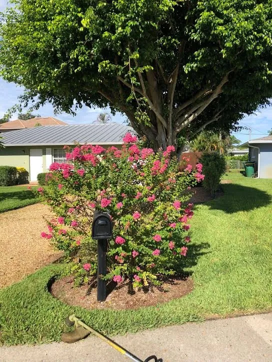 Reliable residential landscaping in Naples, FL - R & W Landscaping And Services