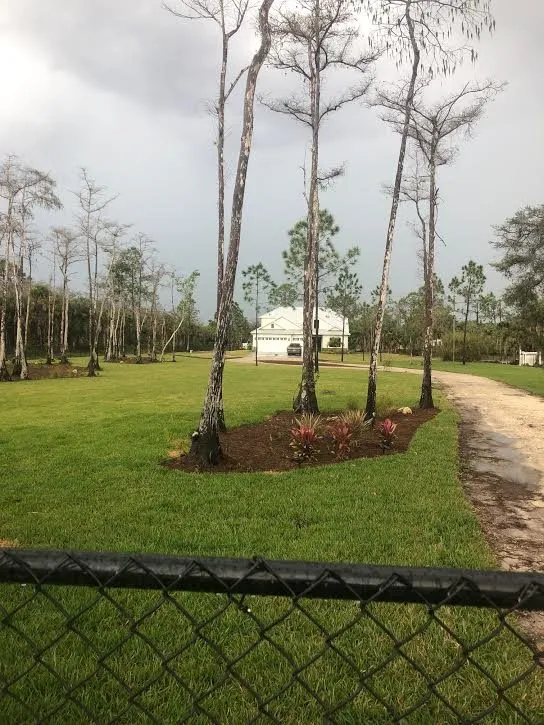 Custom lawn mowing service in Naples, FL - R & W Landscaping And Services