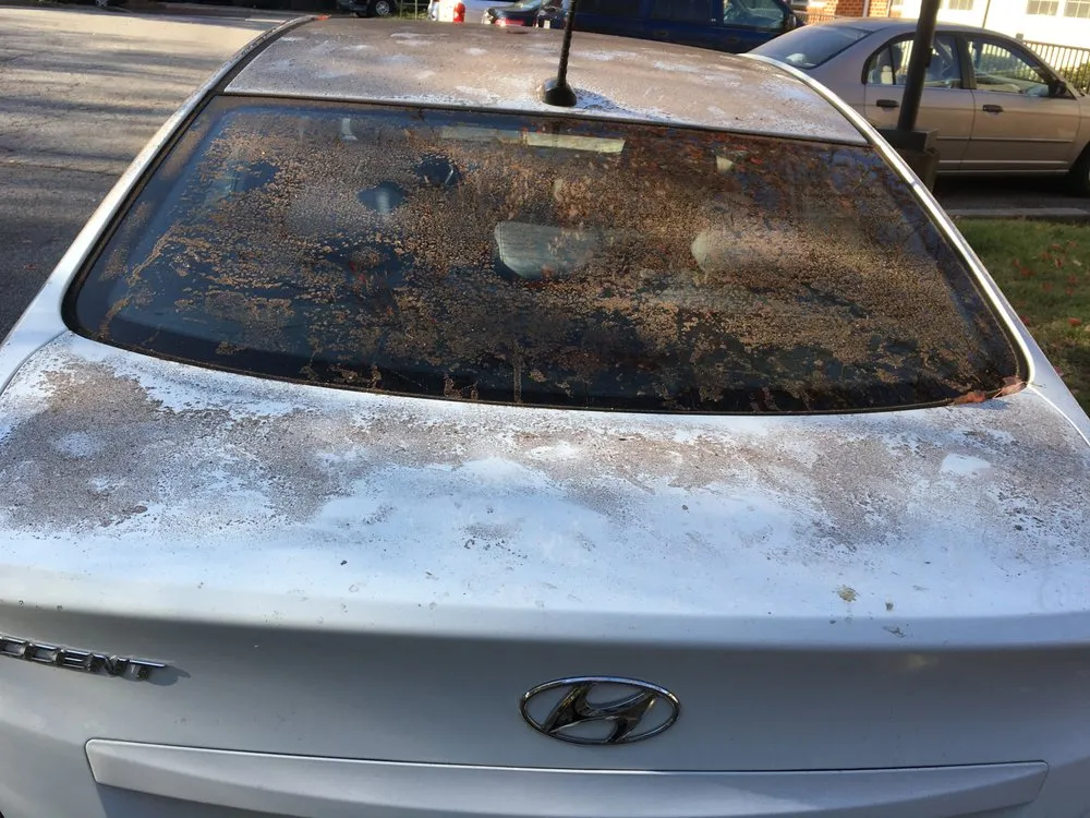 Trusted lawn mowing service in Rosedale, MD - R & W Landscaping