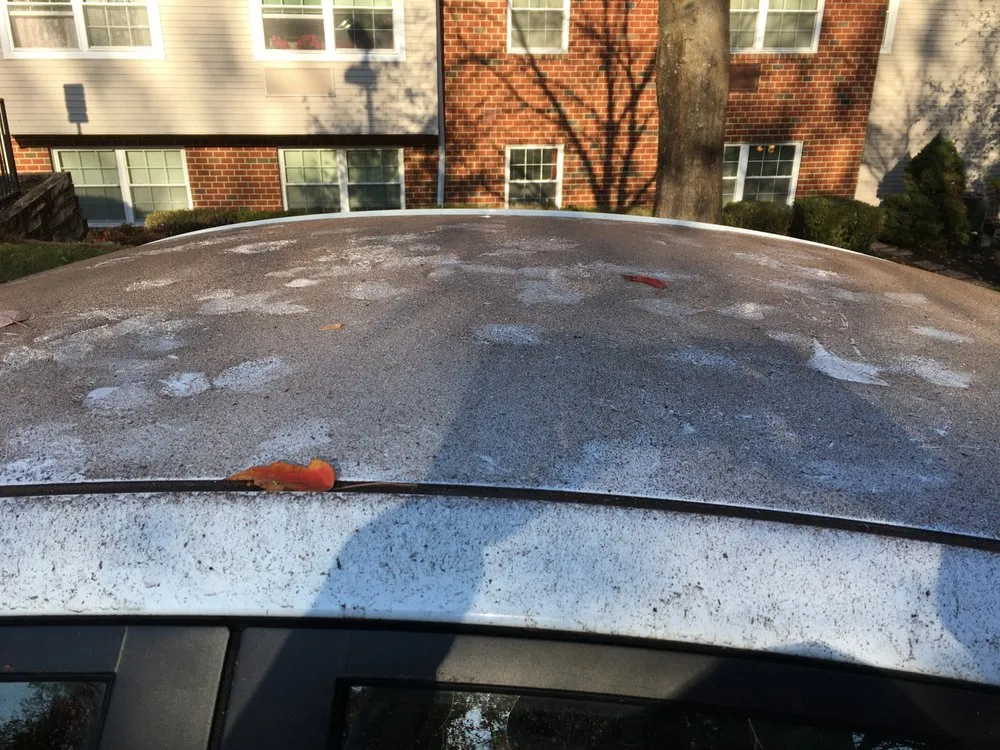 Top-rated landscape installation for outdoor upgrades across Rosedale, MD - R & W Landscaping